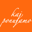 Kaj ponujamo
